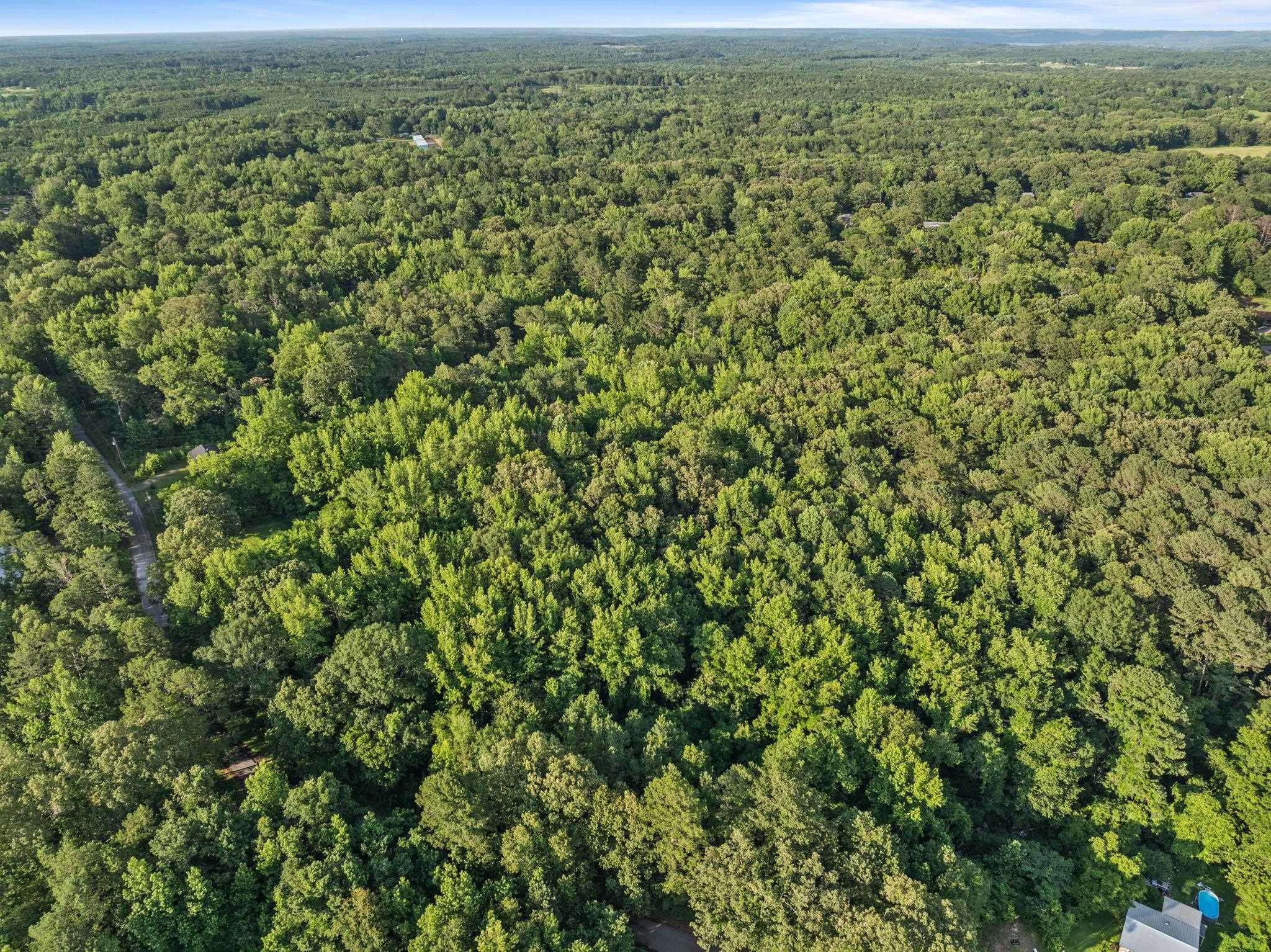 Tbd Spring Street Iuka, MS 38852 - Photo 4 of 12 Aerial view of a heavily wooded area