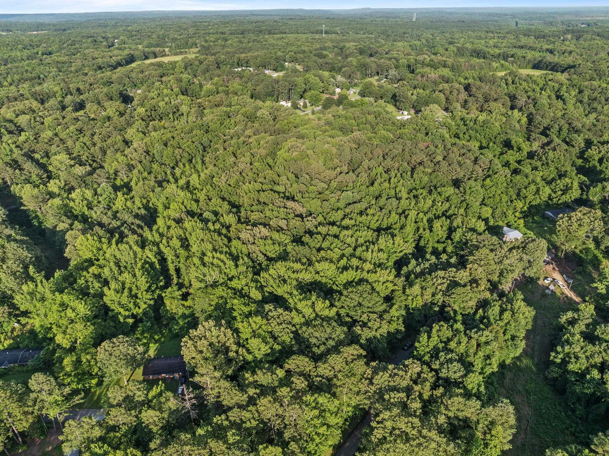 Tbd Spring Street Iuka, MS 38852 - Photo 6 of 12 Bird's eye view of a heavily wooded area