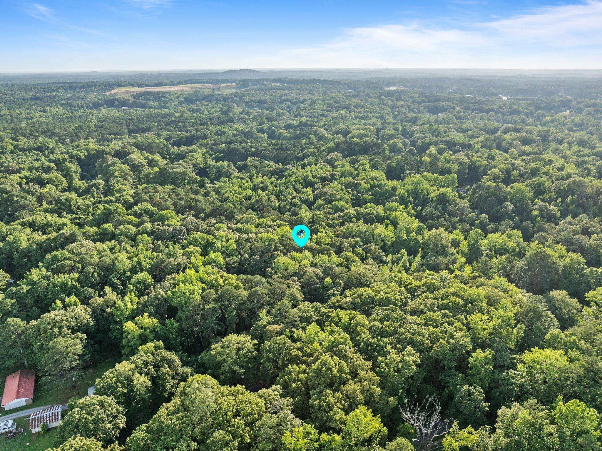 Tbd Spring Street Iuka, MS 38852 - Photo 7 of 12 Drone / aerial view of a forest