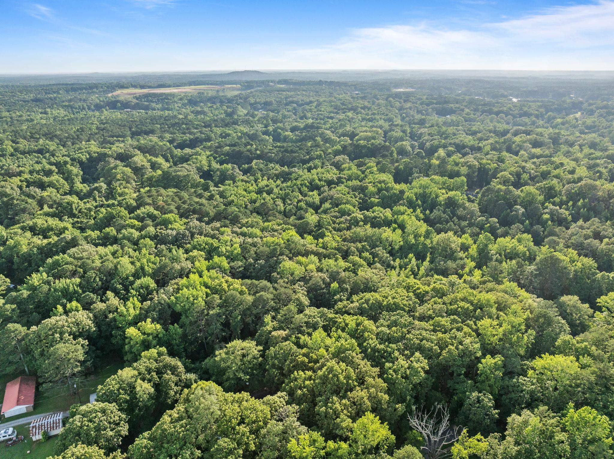 Tbd Spring Street Iuka, MS 38852 - Photo 8 of 12 Bird's eye view of a heavily wooded area