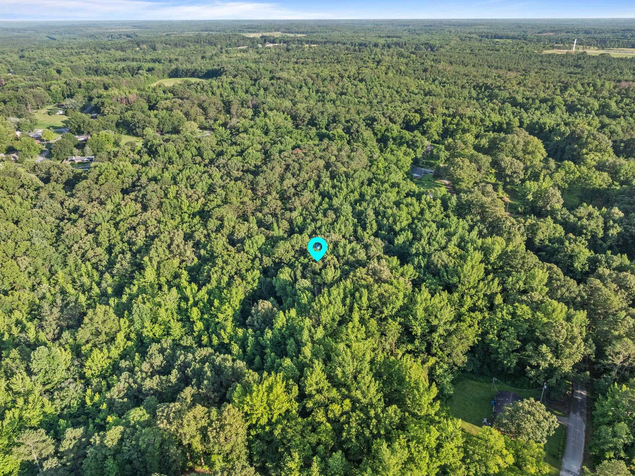 Tbd Spring Street Iuka, MS 38852 - Photo 9 of 12 Aerial view of a forest