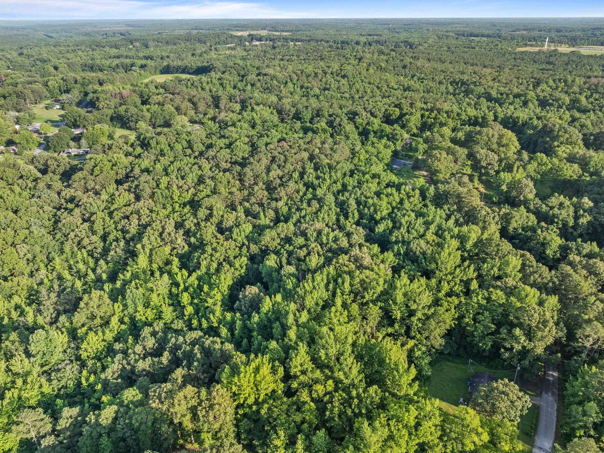 Tbd Spring Street Iuka, MS 38852 - Photo 10 of 12 Aerial view of a heavily wooded area