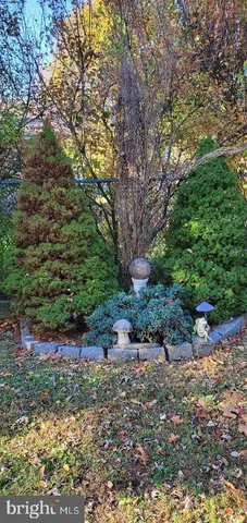 a view of a backyard with a tub