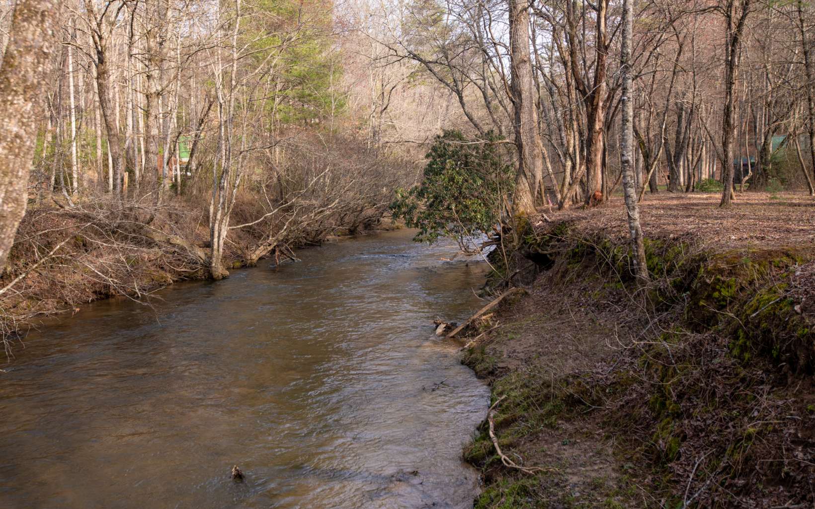 513 Fightingtown Overlook Blue Ridge, GA 30513 - Photo 17 of 74 Additional View