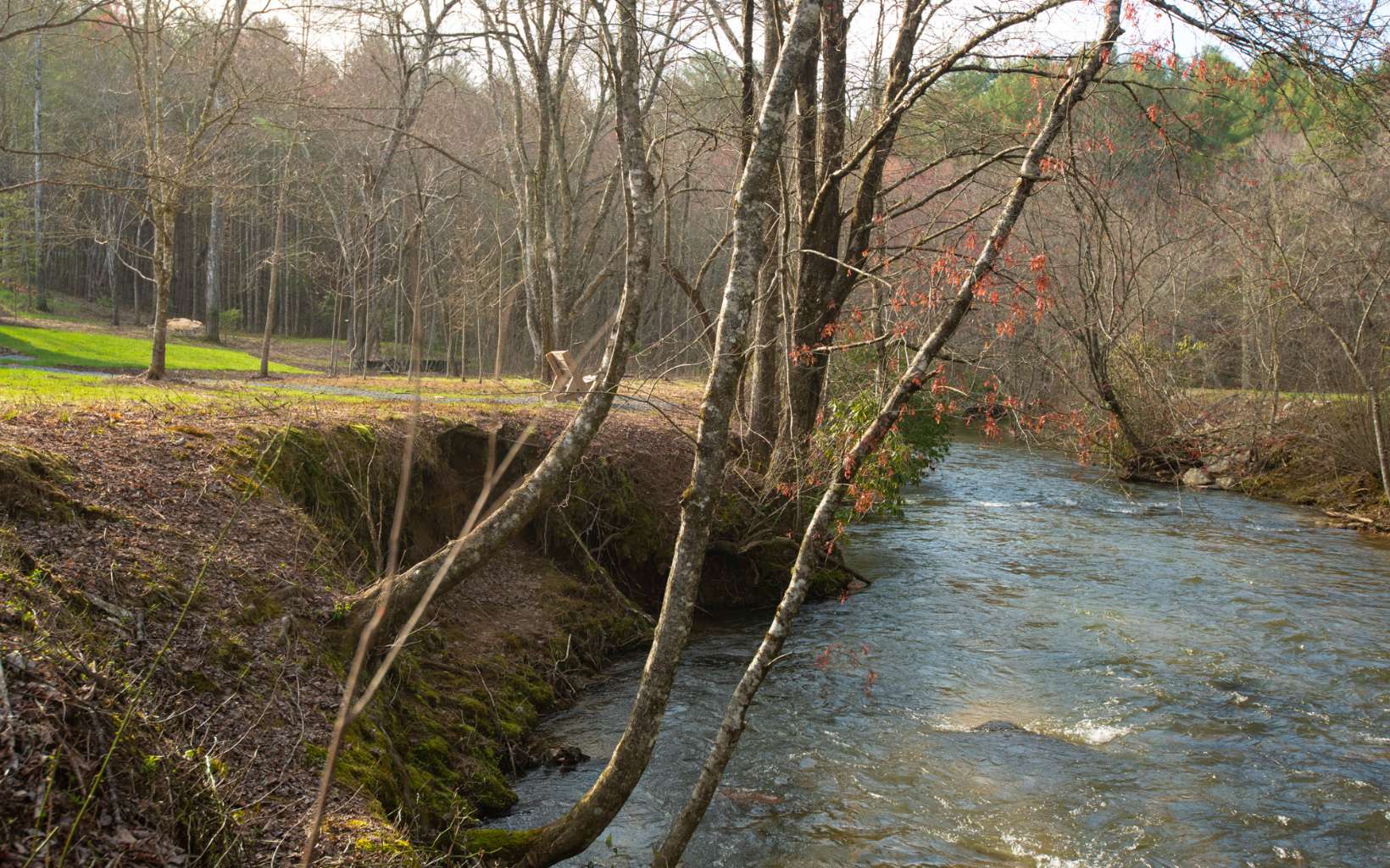 513 Fightingtown Overlook Blue Ridge, GA 30513 - Photo 18 of 74 Additional View