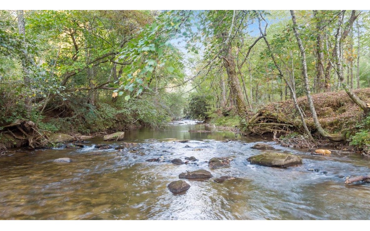 513 Fightingtown Overlook Blue Ridge, GA 30513 - Photo 3 of 74 Additional View