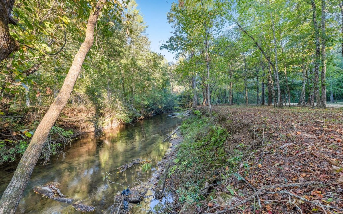513 Fightingtown Overlook Blue Ridge, GA 30513 - Photo 73 of 74 Additional View