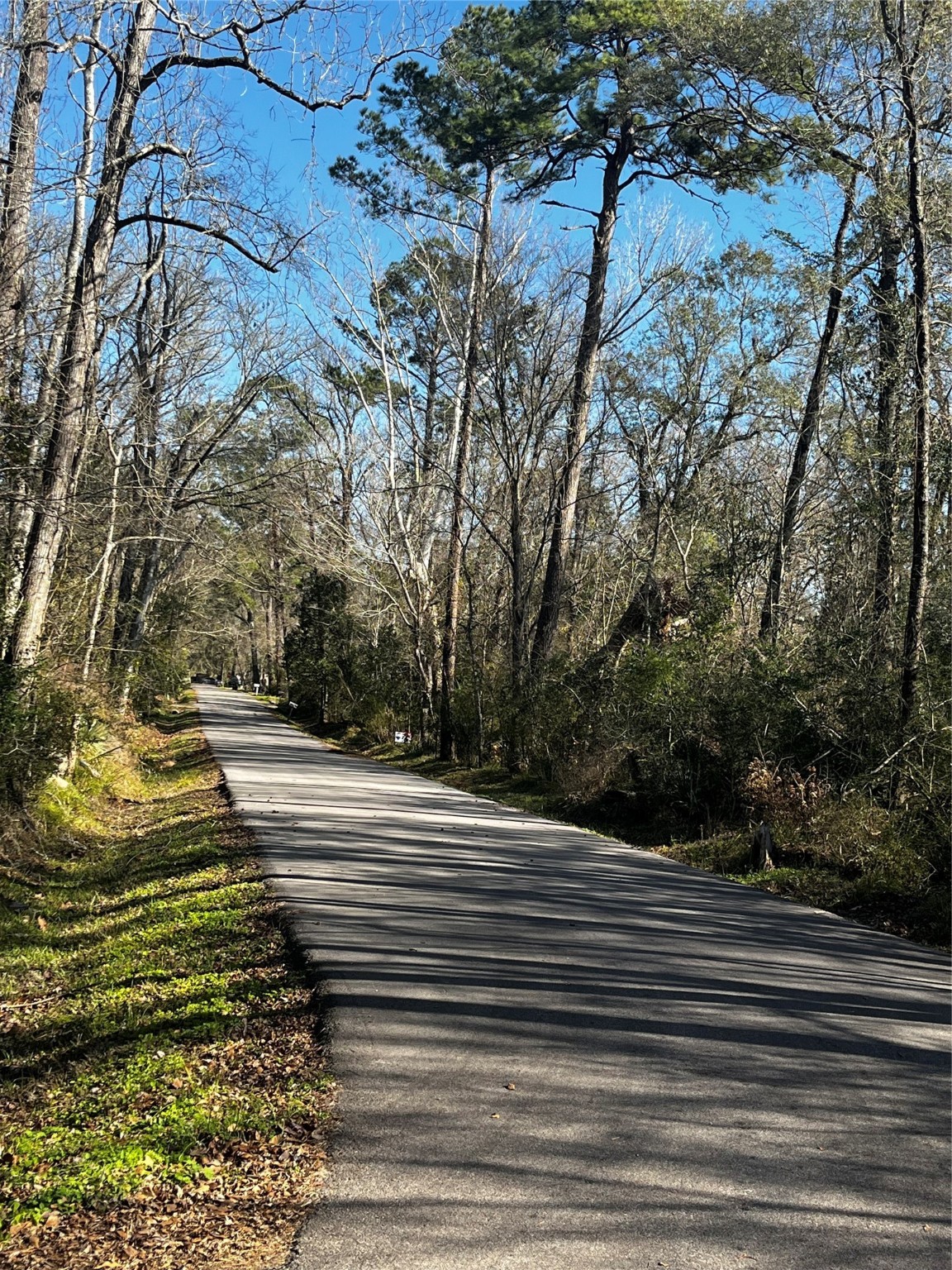 0 Elm Street Huffman, TX 77336 - Photo 5 of 6 a view of a yard with flower plants and tree