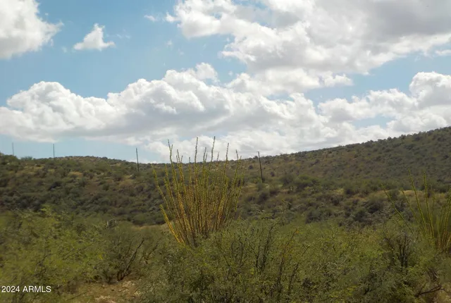 a view of a road from a forest
