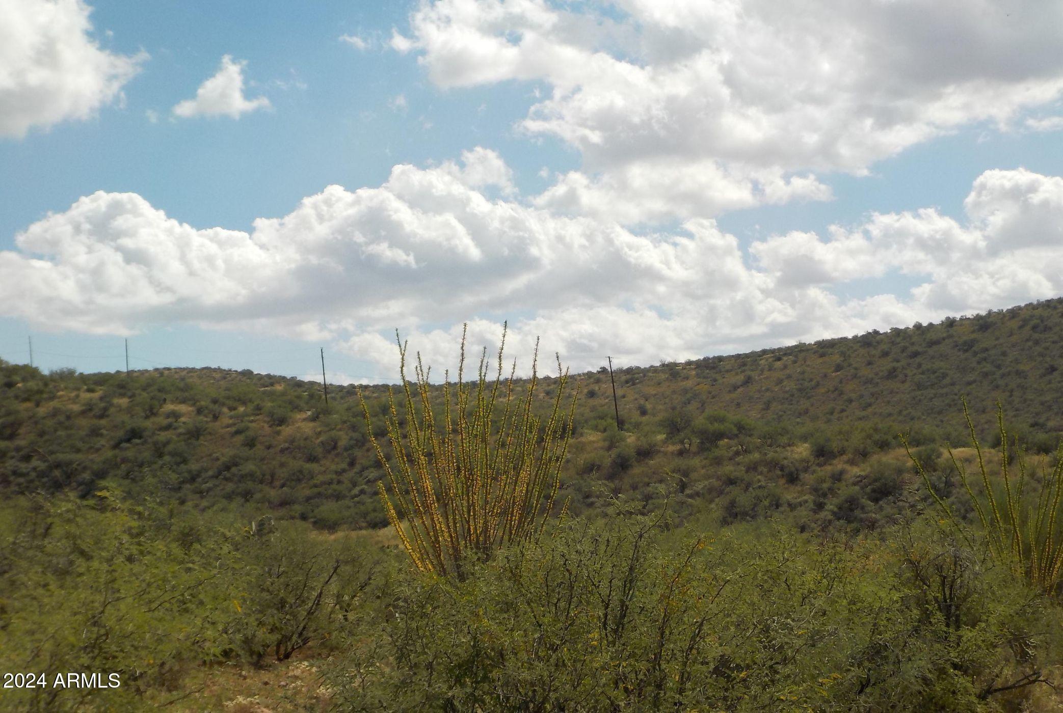 185 Ruta Camaron Rio Rico, AZ 85648 - Photo 7 of 9 a view of a city