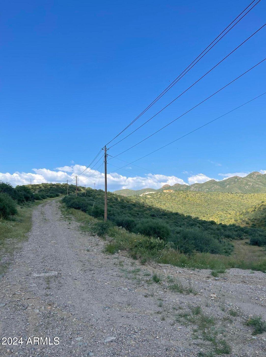185 Ruta Camaron Rio Rico, AZ 85648 - Photo 9 of 9 a view of a road from a forest