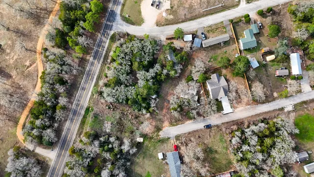 a picture of flowers