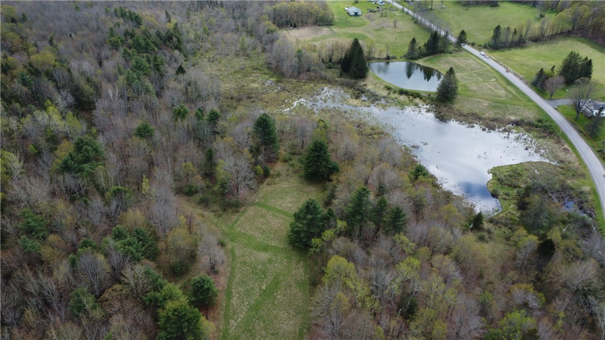 321 Allen Road Jefferson, NY 12093 - Photo 31 of 33