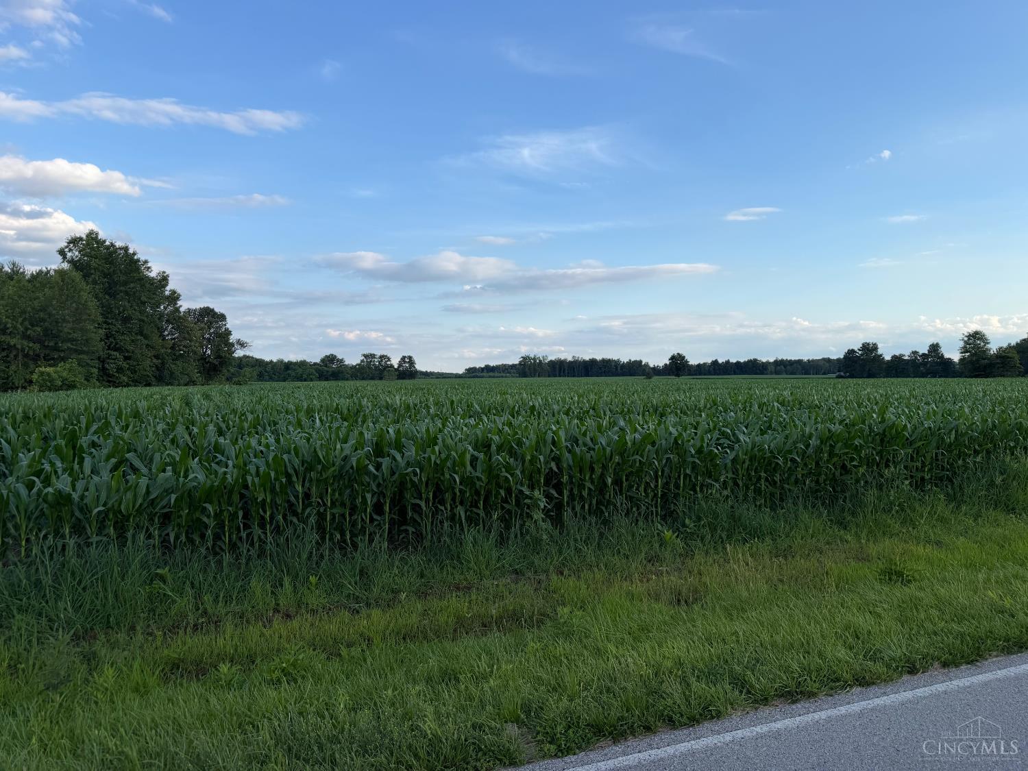 0 Oakland Road Bethel, OH 45106 - Photo 2 of 7