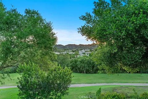 a view of a grassy field with trees in the background