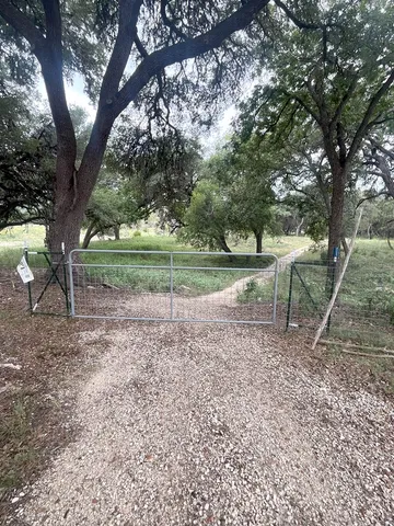 a view of a yard with plants and trees