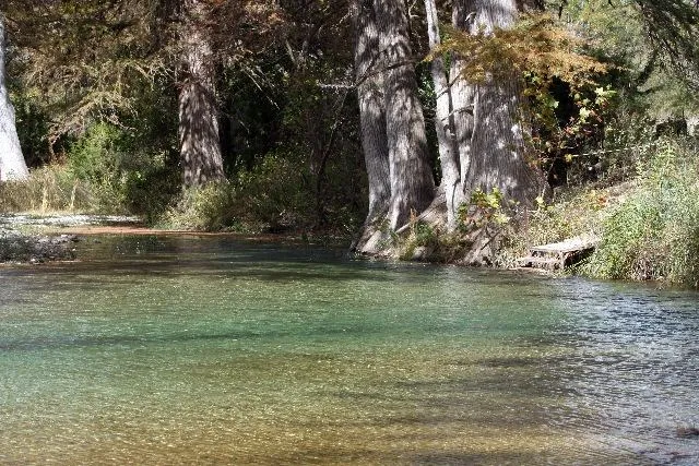 a house with trees in the background