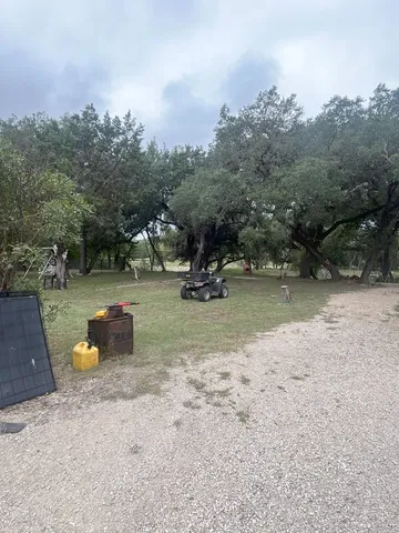 a view of a yard with a tree