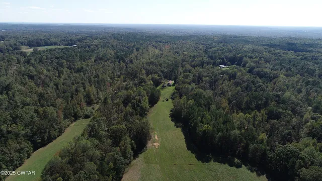 an aerial view of residential houses with outdoor space and trees
