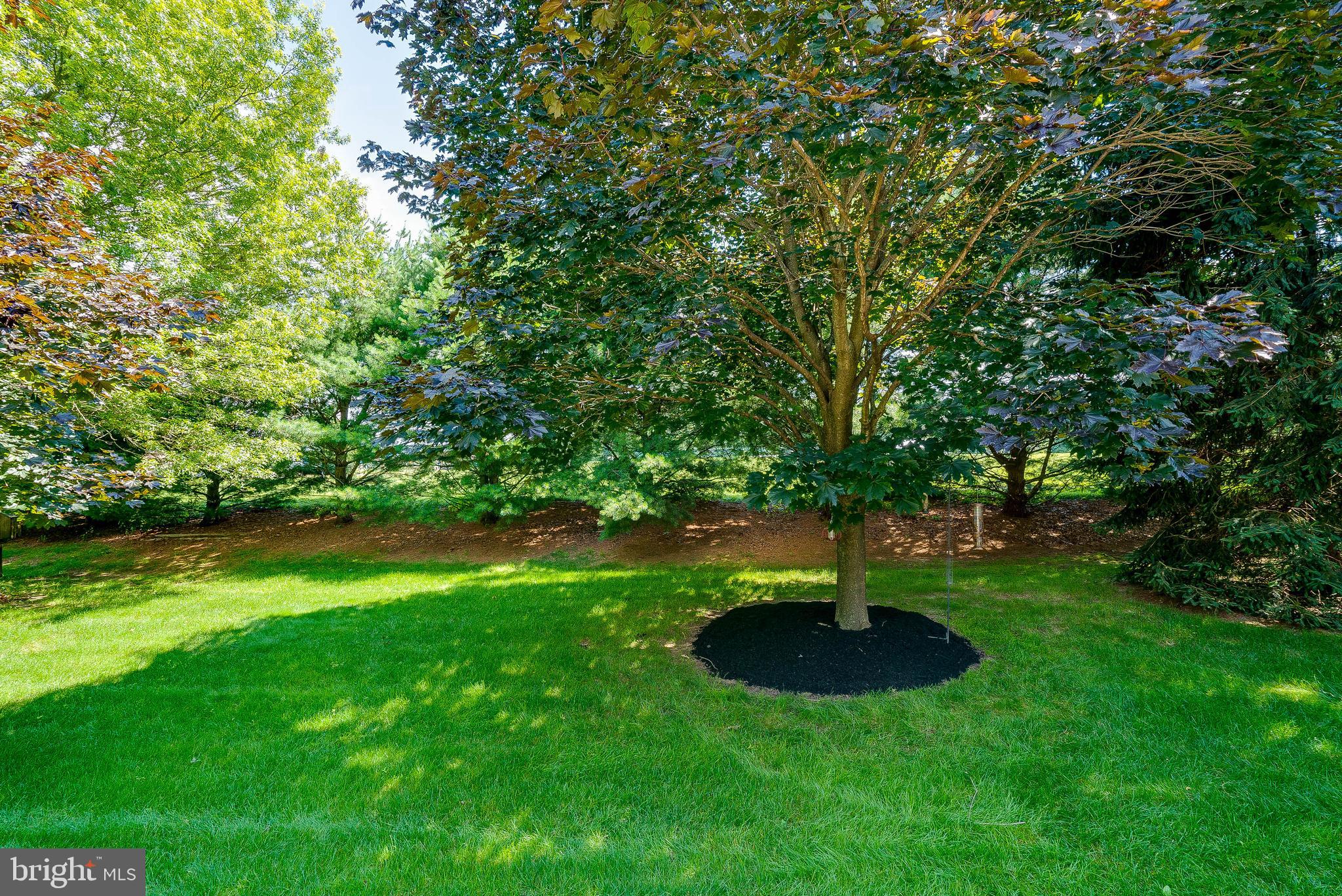 66 North Hawthorne Road Coatesville, PA 19320 - Photo 43 of 48 Backyard