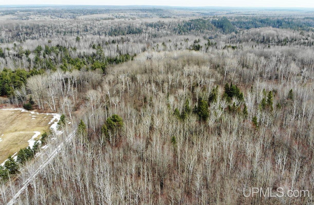 20 Grenlund Road Bruce Crossing, MI 49912 - Photo 2 of 18