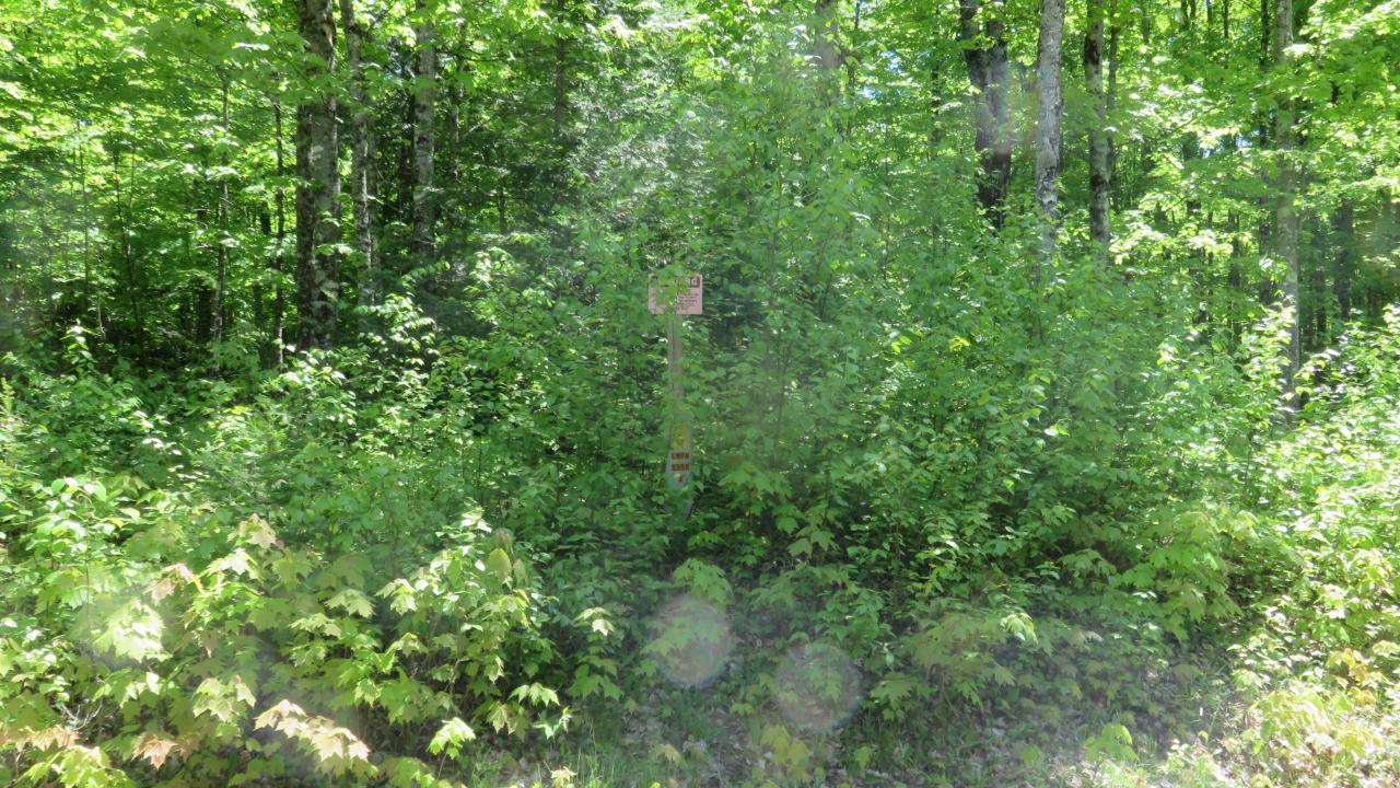 Lot 1415 Wildcat Road Presque Isle, WI 54557 - Photo 13 of 47 Gallery Image 13