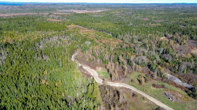 $129,000 | Lot 3 Holmes Bay Farm, Whiting, ME 04691