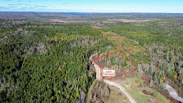 $129,000 | Lot 3 Holmes Bay Farm, Whiting, ME 04691