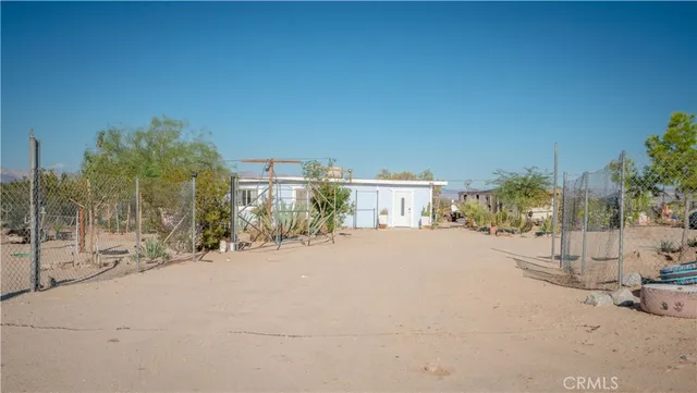 a row of palm trees and a yard with wooden fence