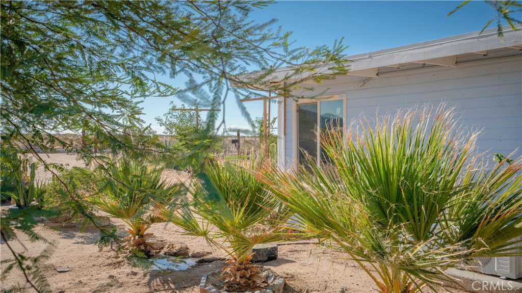 5737 Gammel Road Twentynine Palms, CA 92277 - Photo 33 of 48 a view of a plant in a garden
