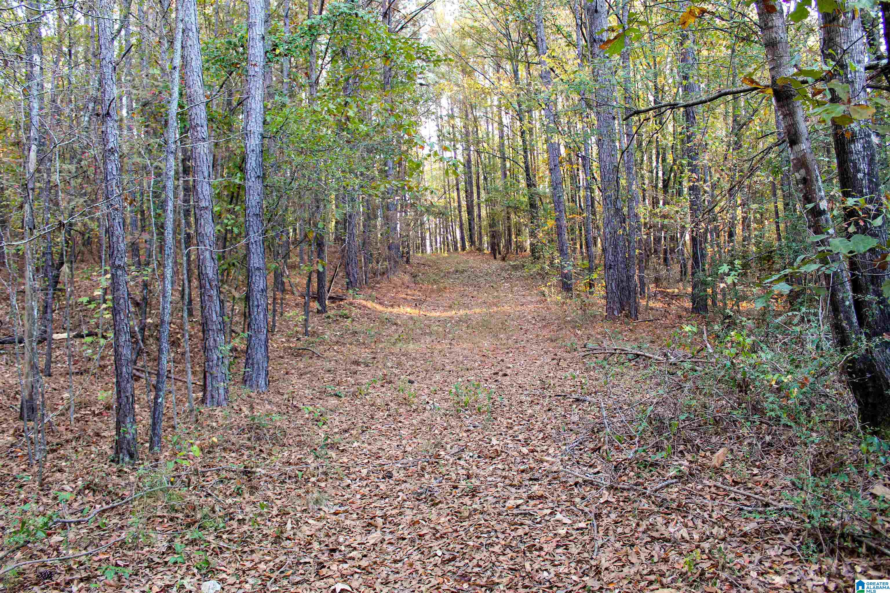 1624 Fleming Road Vincent, AL 35178 - Photo 7 of 54