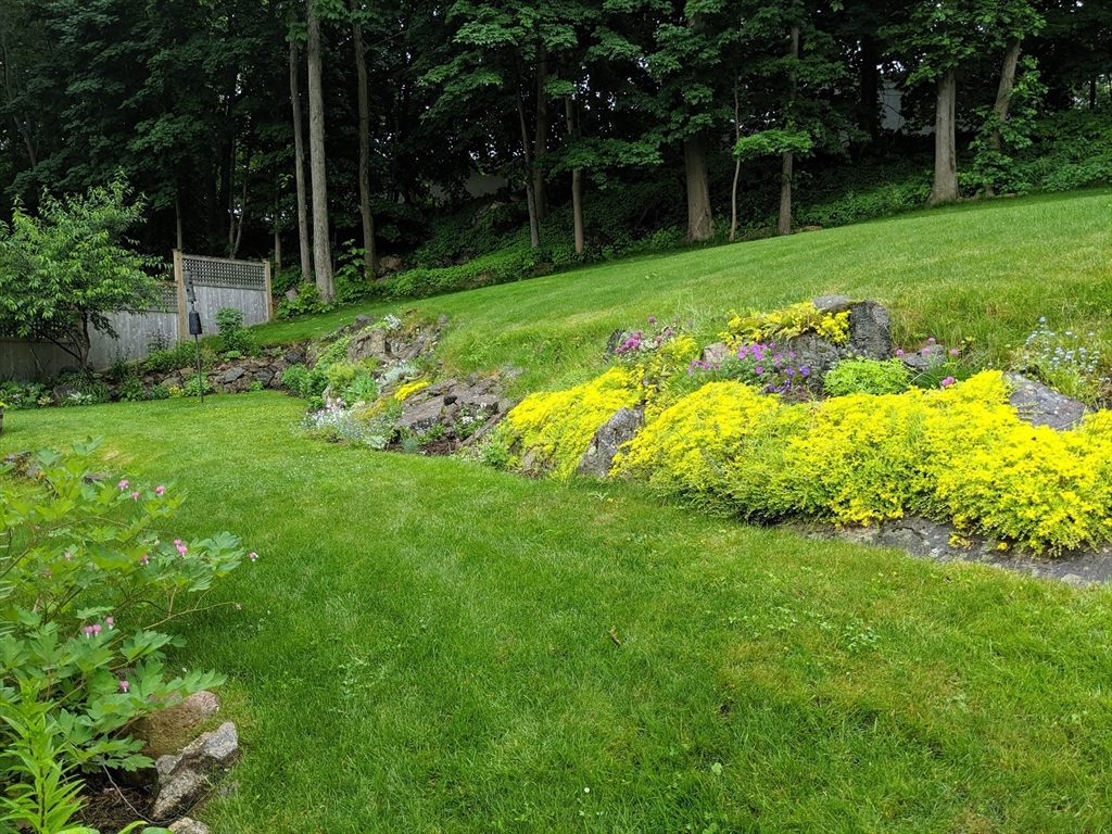 19 Pine Road Beverly, MA 01915 - Photo 23 of 27 Gallery Image 23