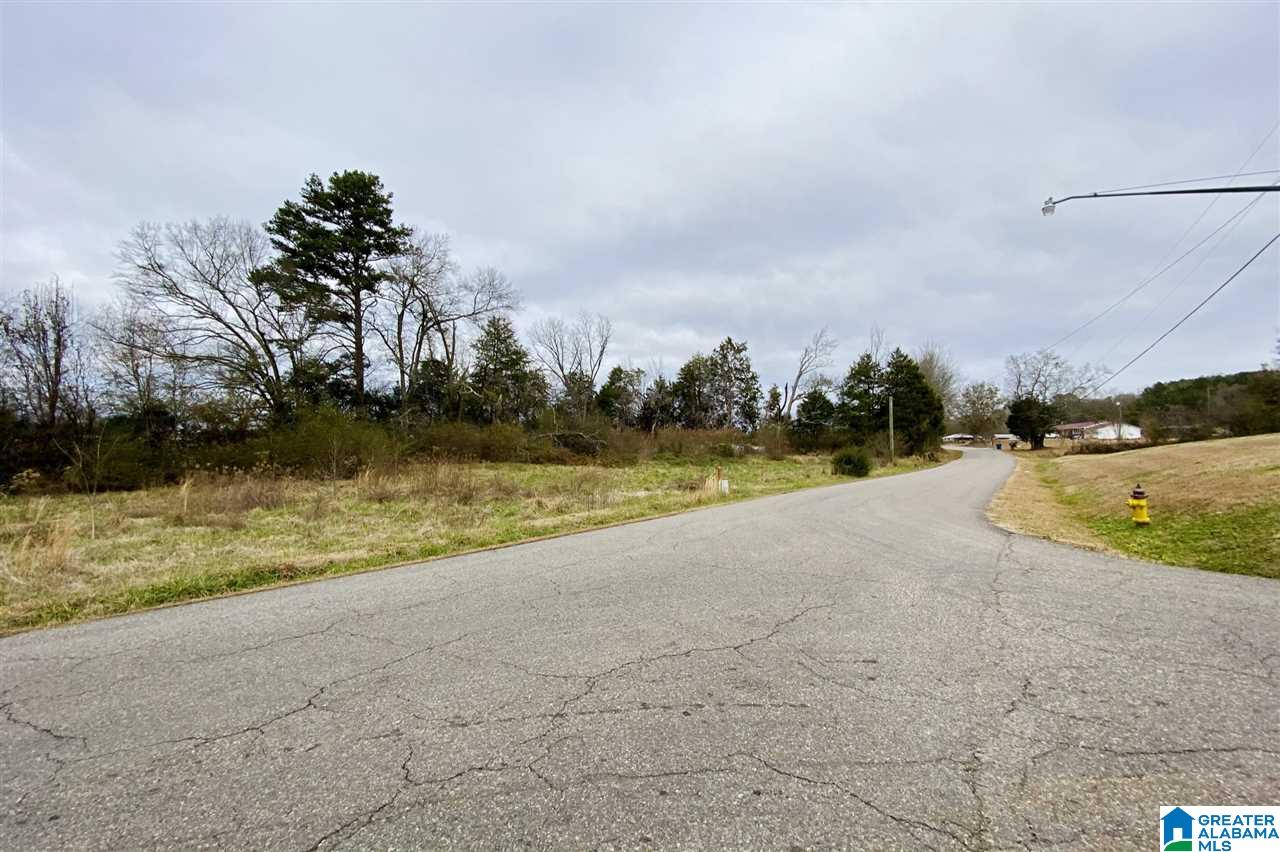 650 Peaceful Valley Road, Unit 98 AC Eastaboga, AL 36260 - Photo 8 of 10