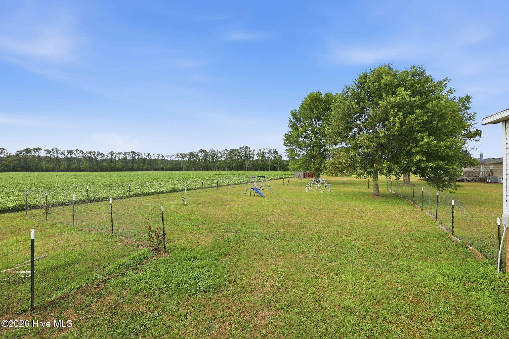 252 Heath Swamp Road Cove City, NC 28523 - Photo 46 of 55
