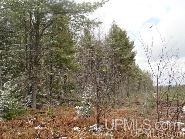 Tbd Off Doe Lake Road Munising, MI 49862 - Photo 4 of 11