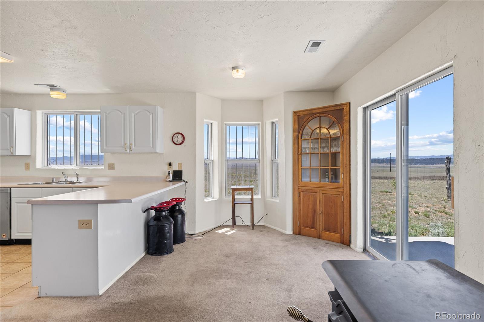 1421 Larimer Road Hartsel, CO 80449 - Photo 15 of 43