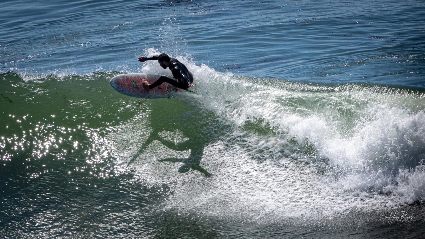 321 Broadway, Unit C2 Santa Cruz, CA 95060 - Photo 44 of 46 a backyard of a house