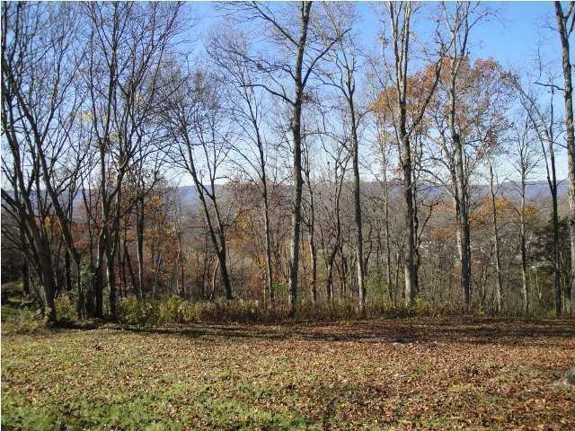 6595 Fairview Road Hixson, TN 37343 - Photo 1 of 1 Janine