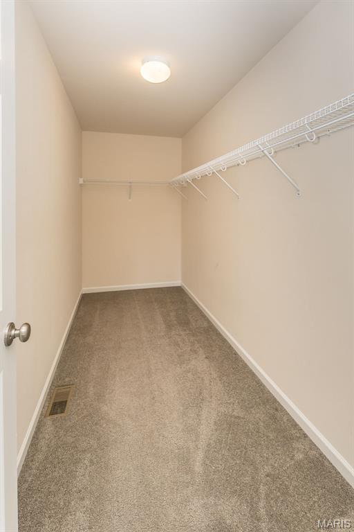 511 Roaring Fork Court Cottleville, MO 63376 - Photo 19 of 29