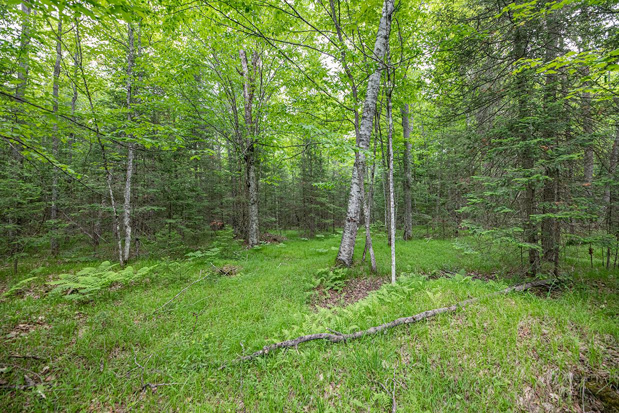 Off Monheim Road Conover, WI 54519 - Photo 10 of 28 Gallery Image 10