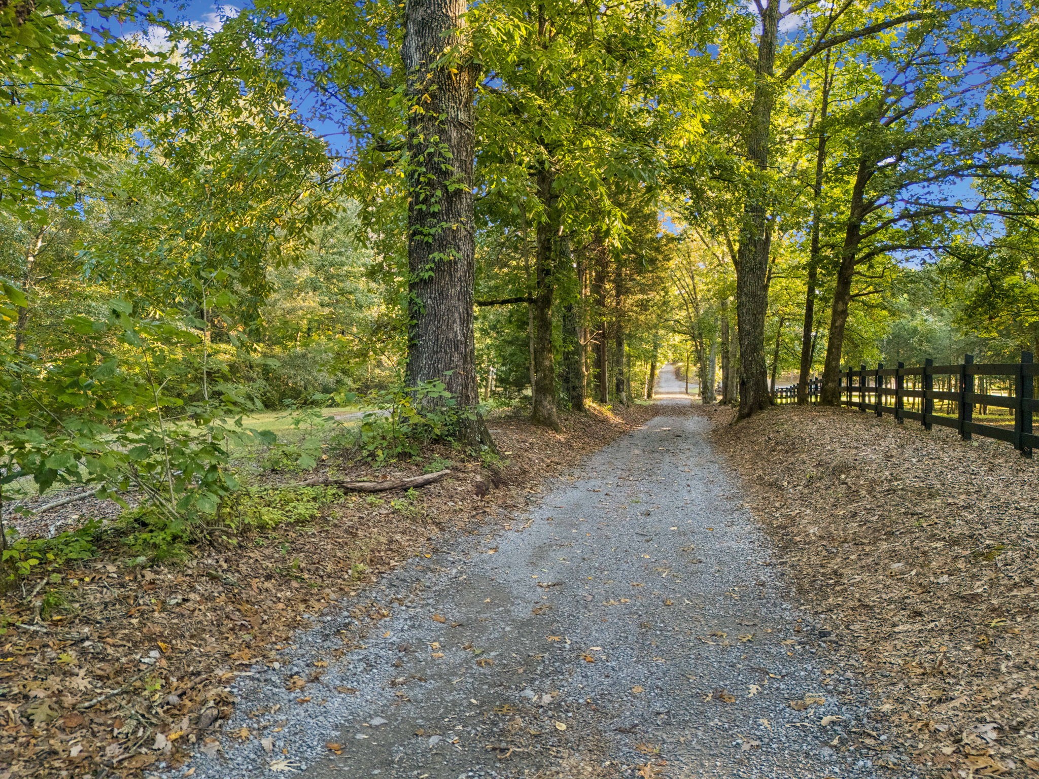 4420 Shores Road Murfreesboro, TN 37128 - Photo 75 of 89 a view of outdoor space and trees