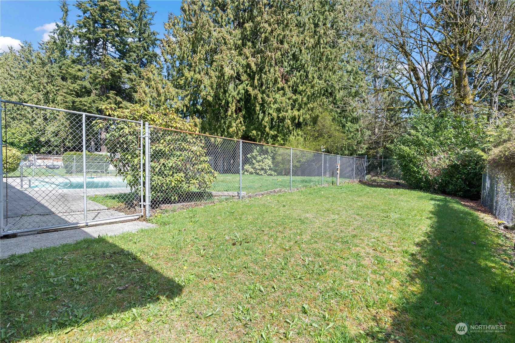 11801 Silver Way Everett, WA 98208 - Photo 22 of 32 a backyard of a house with plants and large trees
