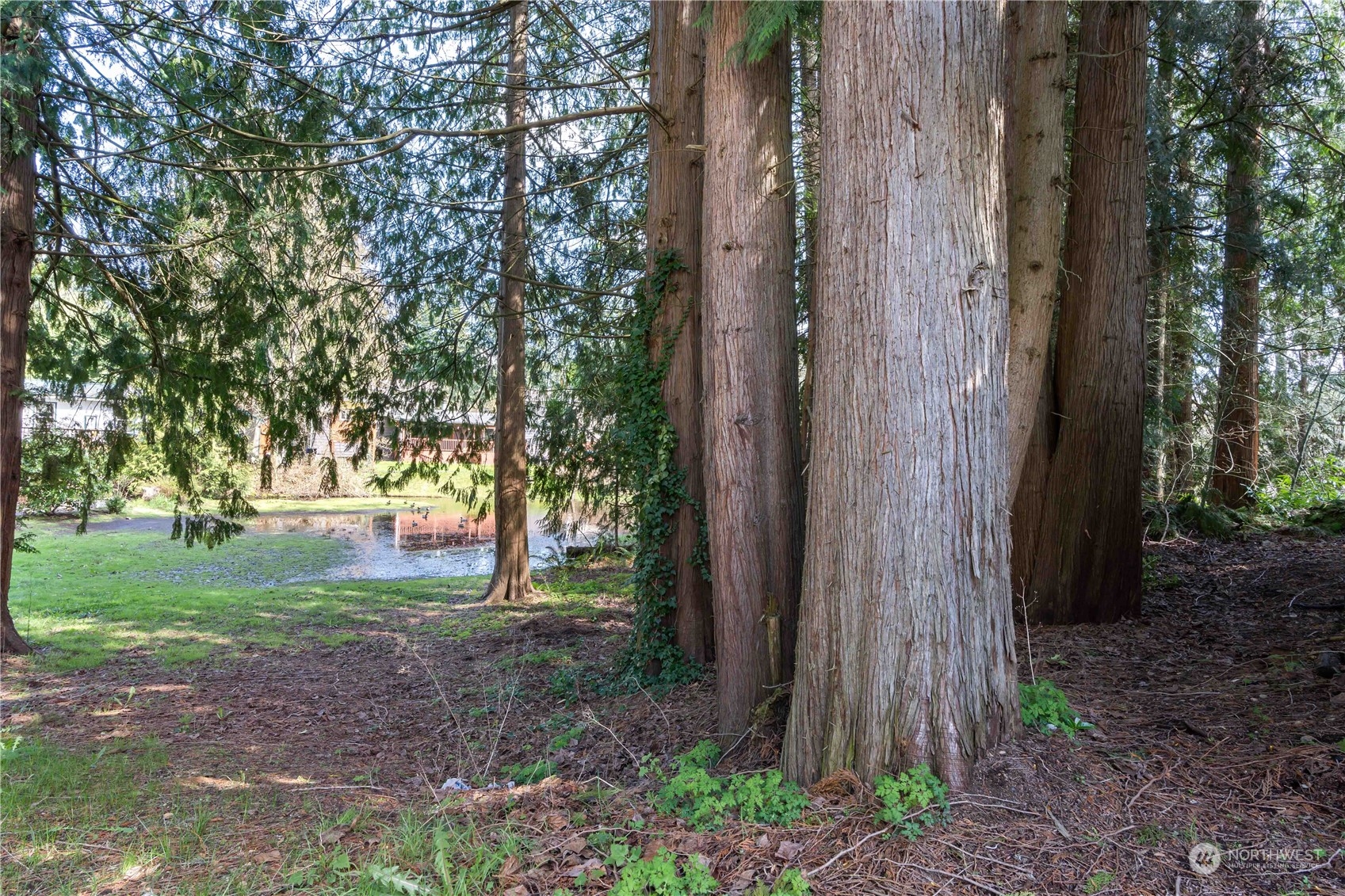 11801 Silver Way Everett, WA 98208 - Photo 27 of 32 a backyard of a house with lots of green space