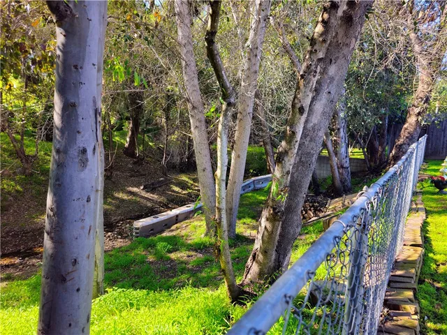 a backyard of a house with lots of green space