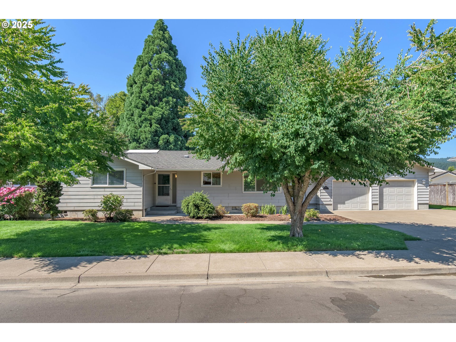 a view of a garden with a house