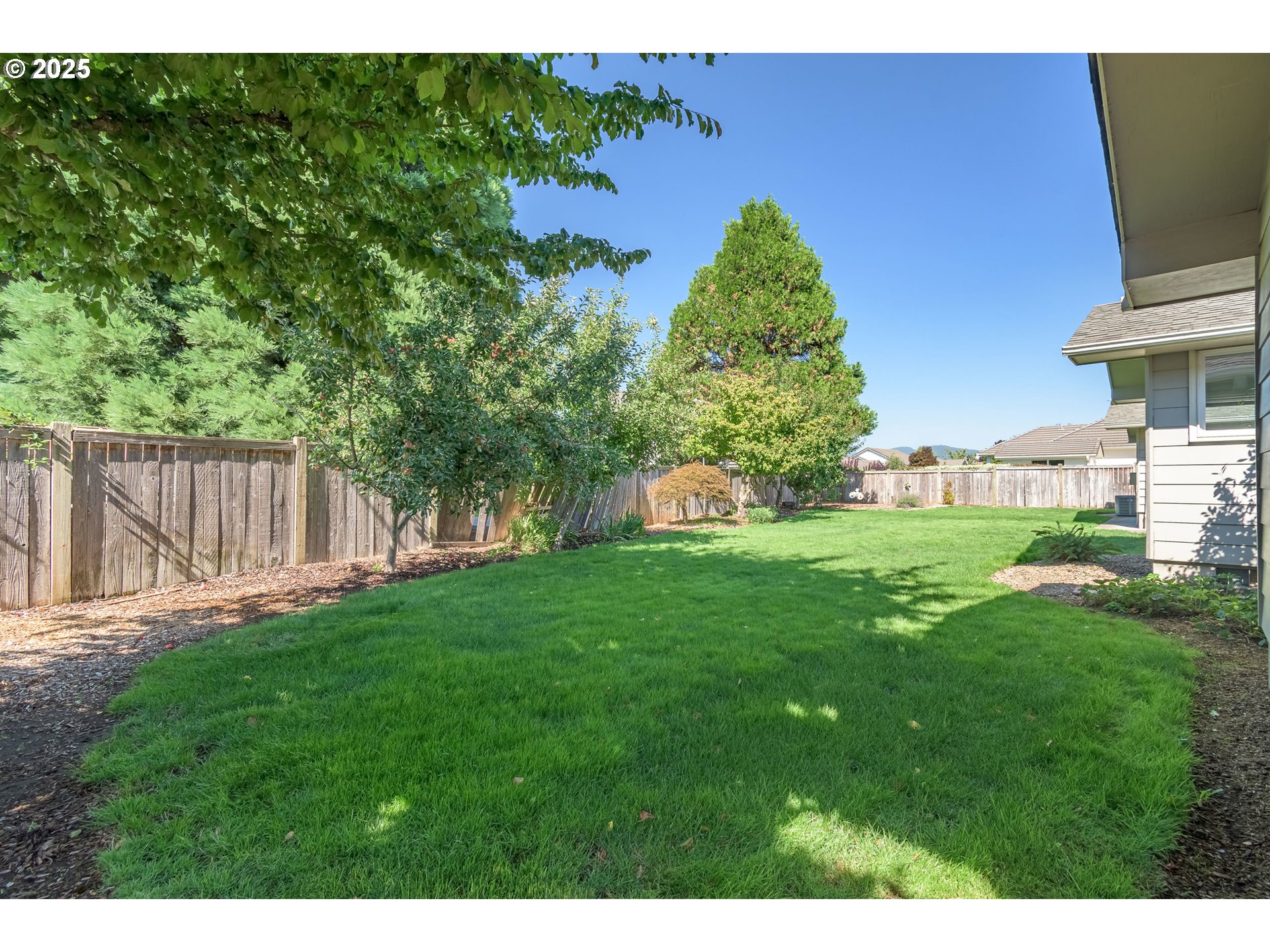 708 Blackstone Street Springfield, OR 97477 - Photo 33 of 45 a view of a yard with plants and a bench