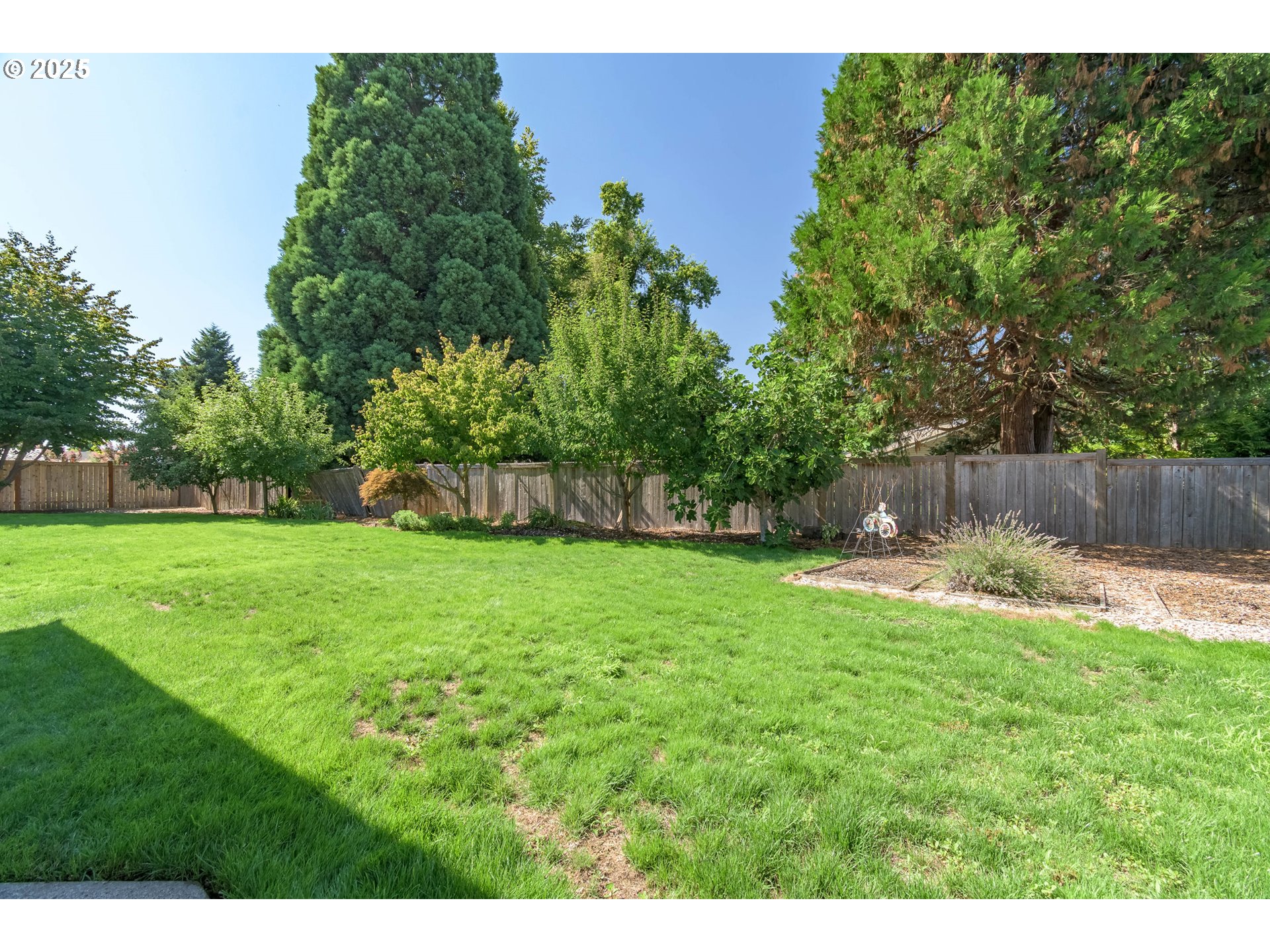 708 Blackstone Street Springfield, OR 97477 - Photo 36 of 45 a view of a back yard