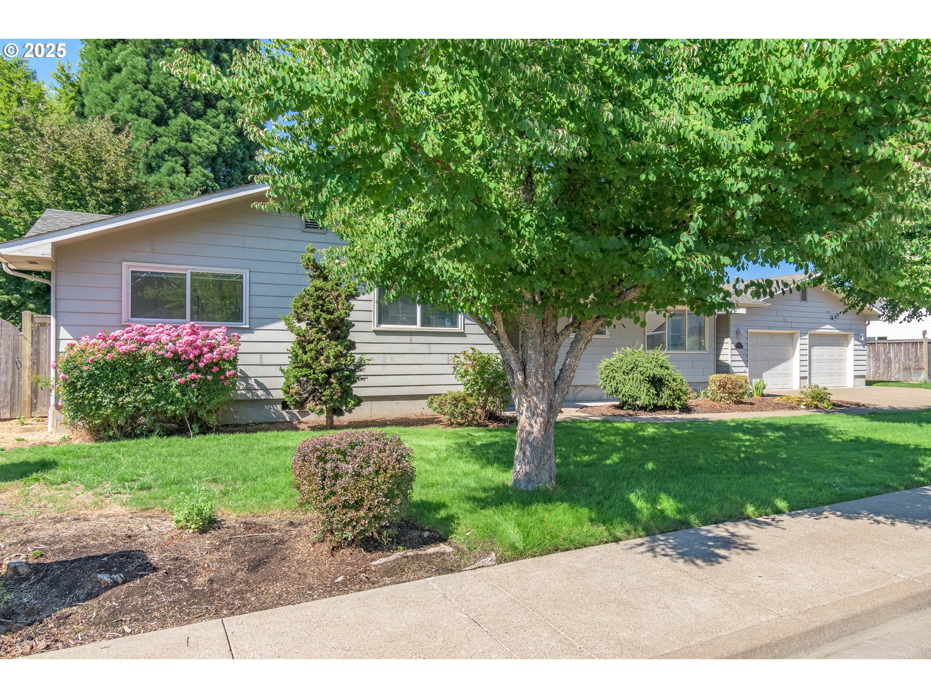 708 Blackstone Street Springfield, OR 97477 - Photo 38 of 45 a front view of a house with a yard and a garage