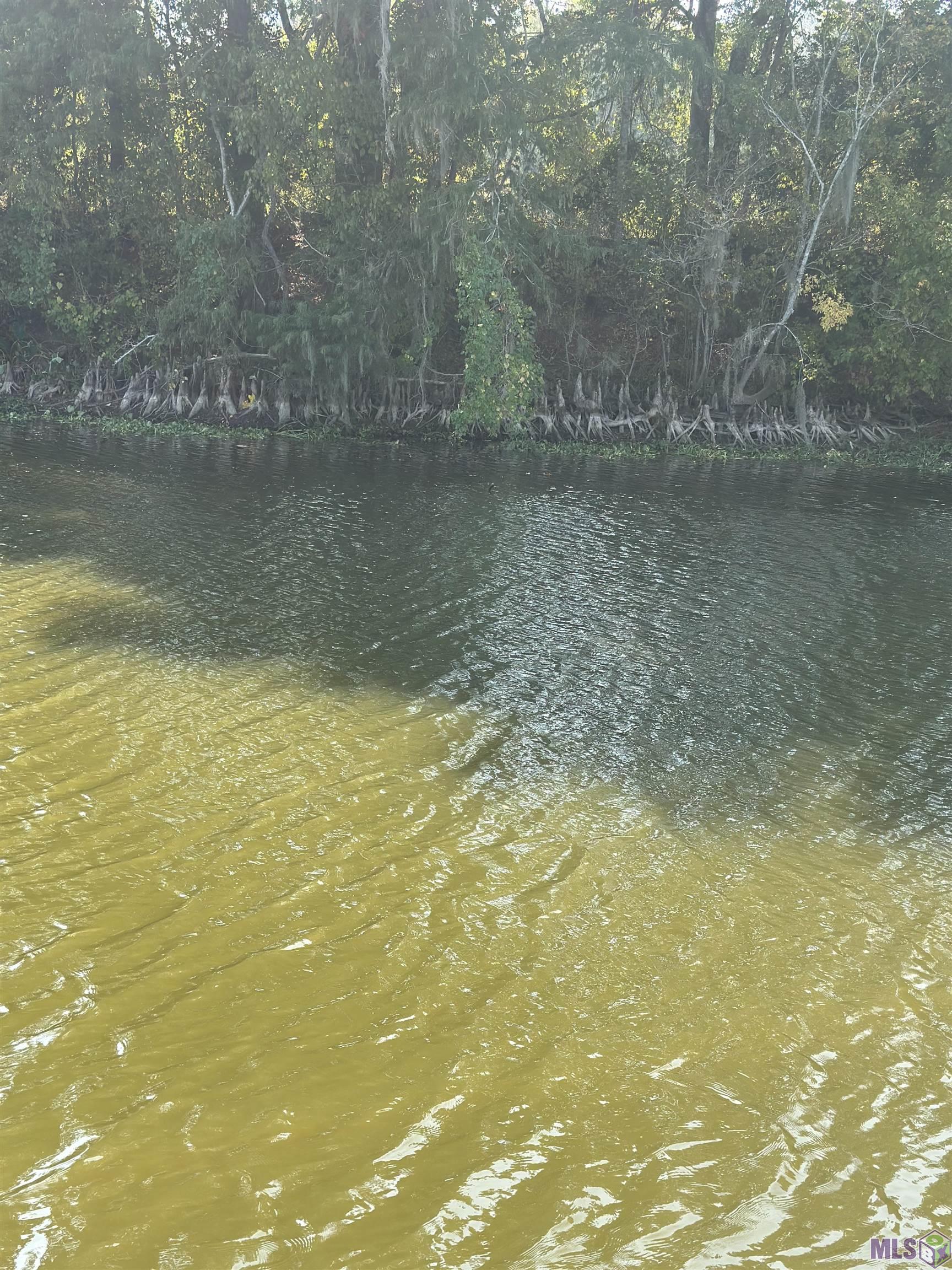 B-5 A Island Road Jarreau, LA 70749 - Photo 3 of 4