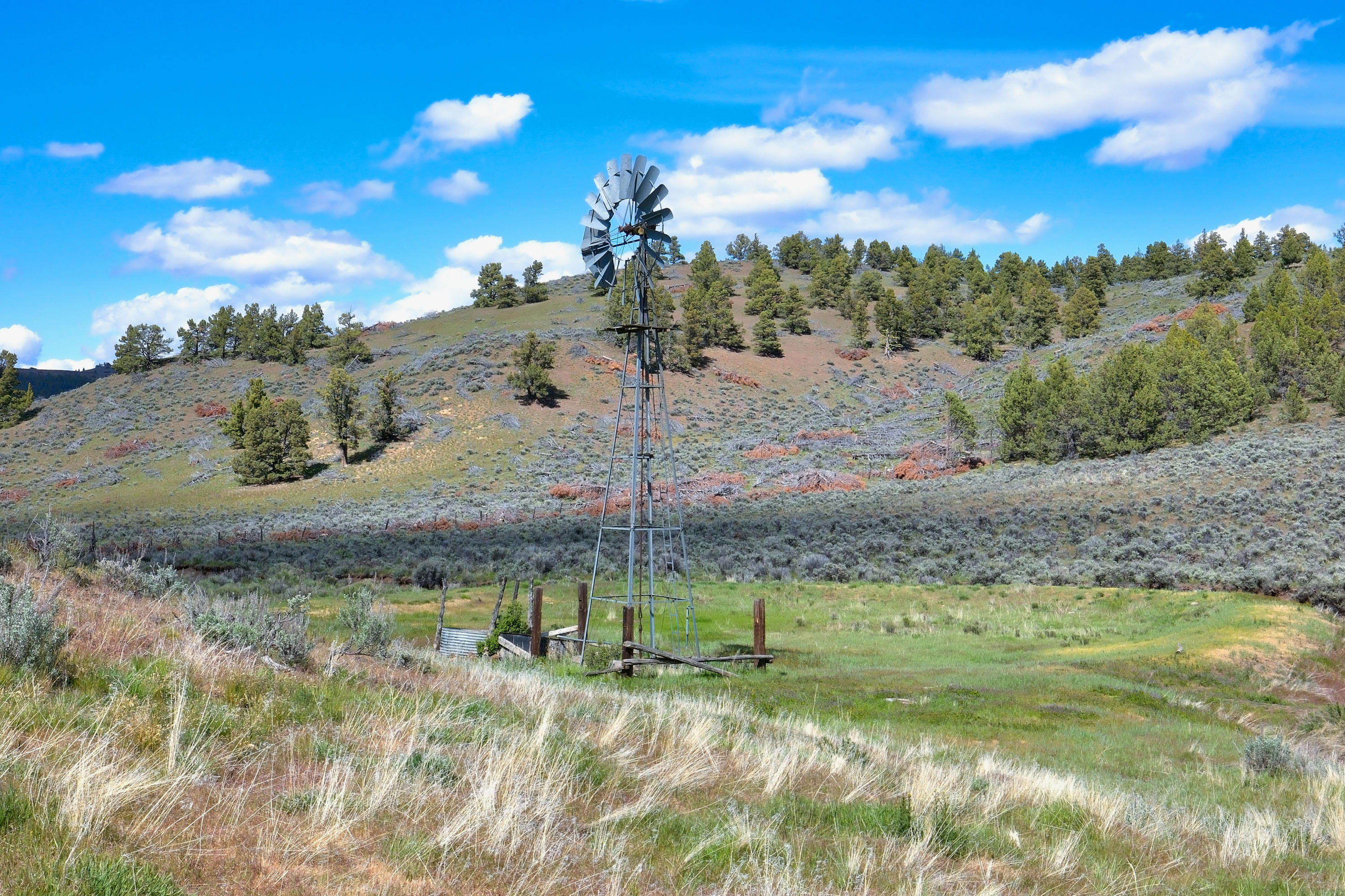 0 Merrill Road Prineville, OR 97754 - Photo 16 of 42 16 Stabb Brothers Land._049